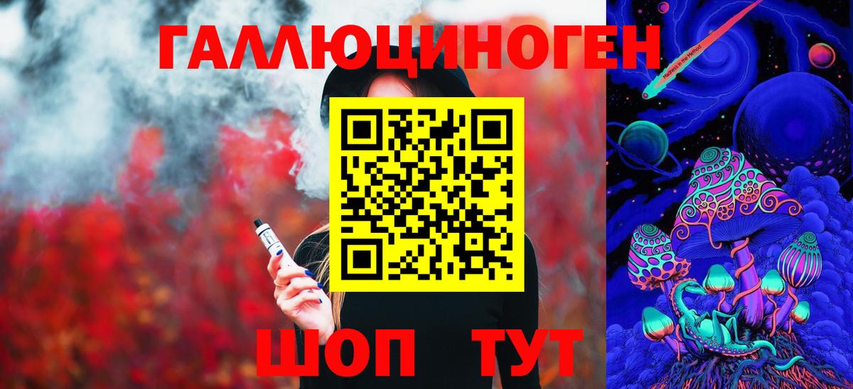 Галлюциногенные грибы Psilocybine cubensis Богородск