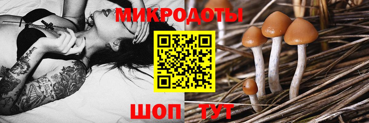 Галлюциногенные грибы GOLDEN TEACHER  Галлюциногенные грибы GOLDEN TEACHER  Богородск  Вход с VPN 